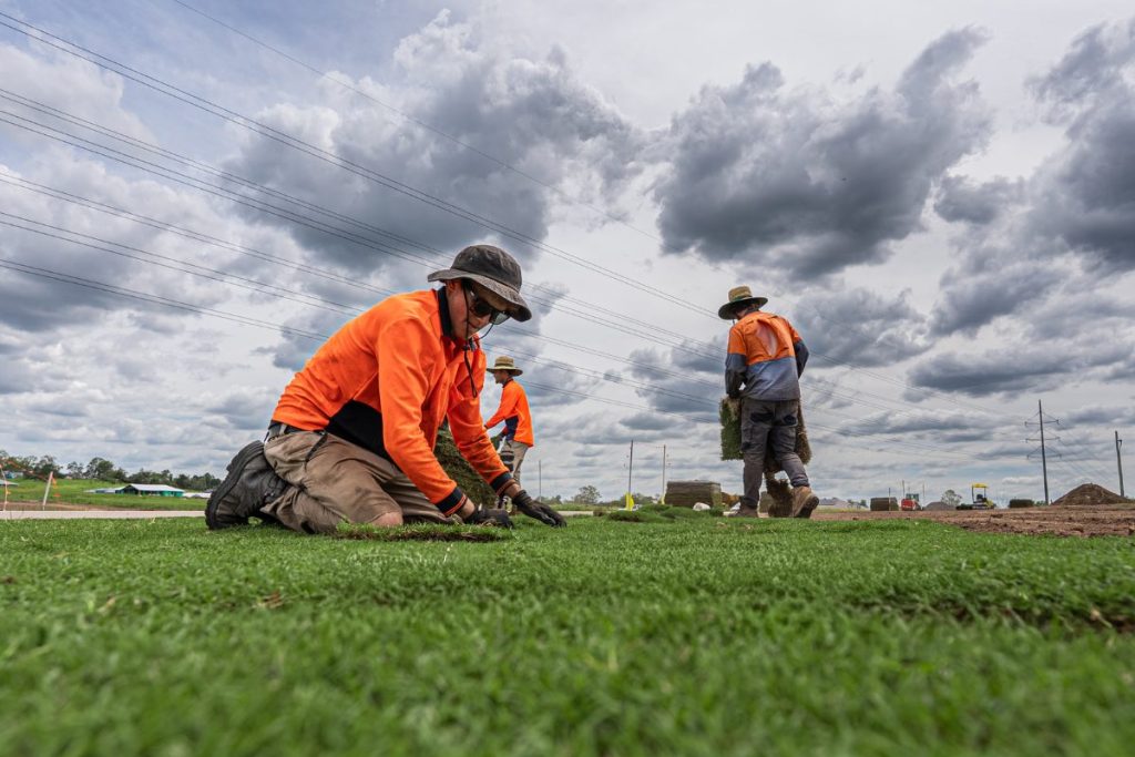 Low-Input Turf Systems: How Councils Can Reduce Water, Fertiliser and ...